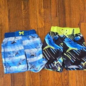 Boys Swim Trunks In Size 4 (2 Pair)